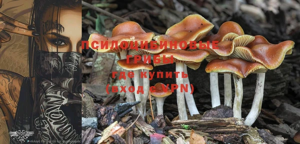 дживик Карпинск