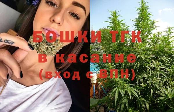 дживик Карпинск