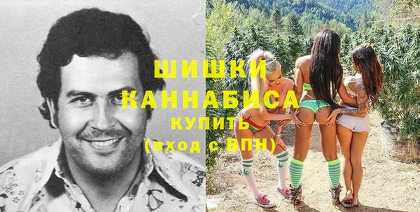 дживик Карпинск