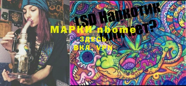 дживик Карпинск