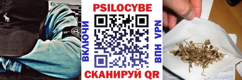 Псилоцибиновые грибы Cubensis  Купить  Новая Ляля 